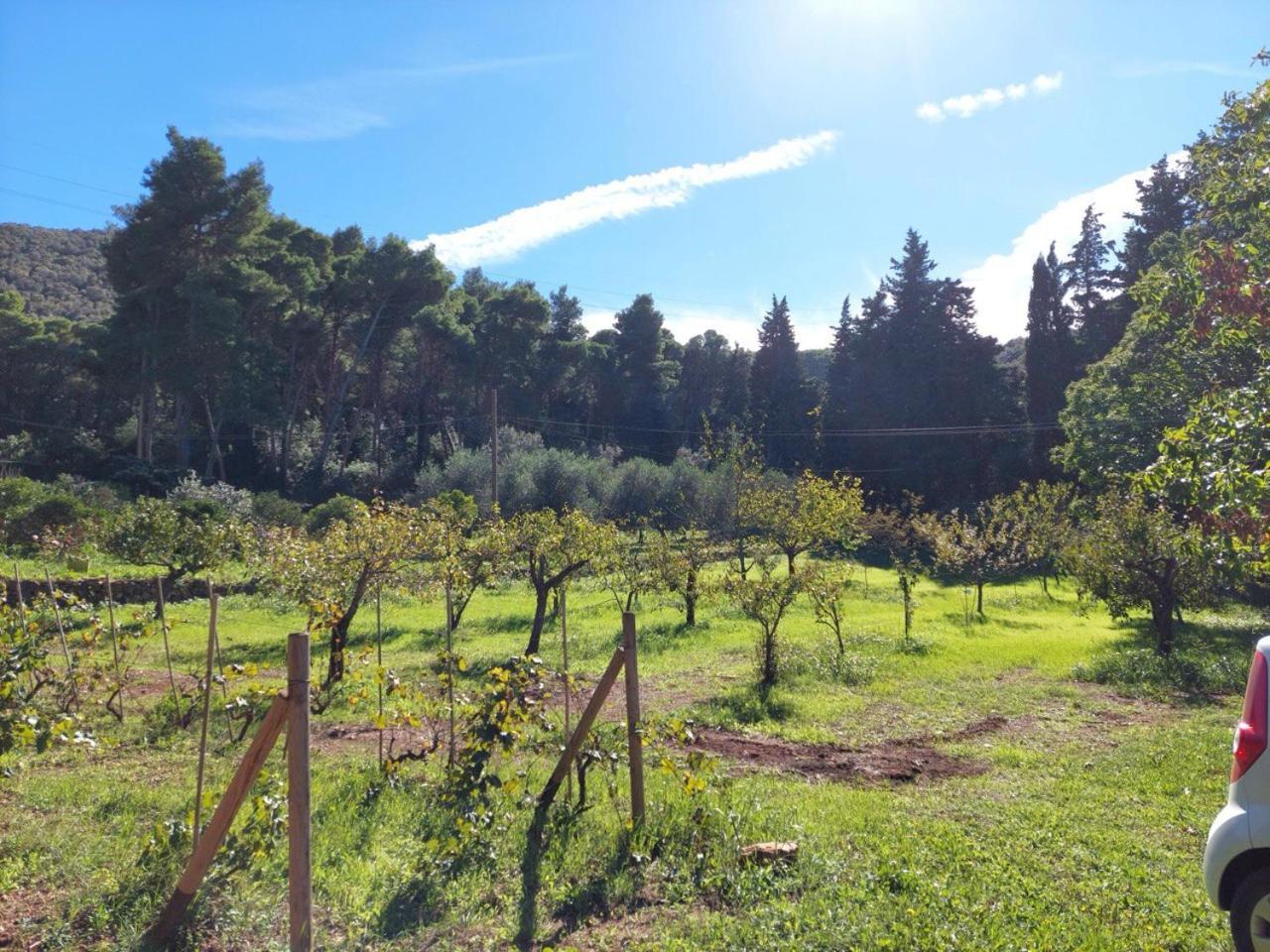 Agriturismo Paradisa Rio dellʼElba Extérieur photo