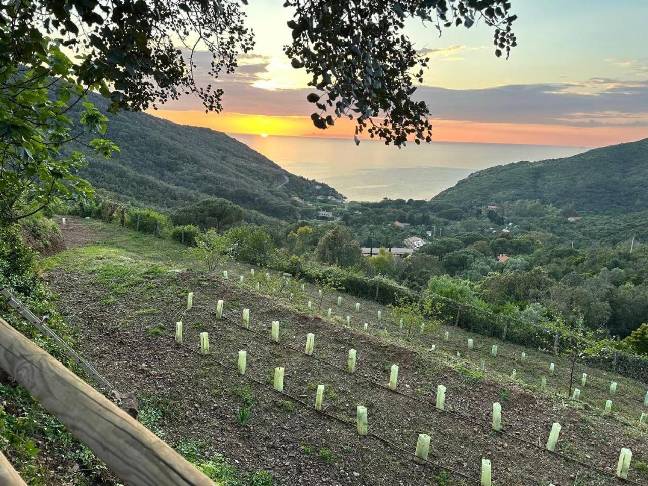 Agriturismo Paradisa Rio dellʼElba Extérieur photo